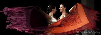 MaloM FlamenCorazArte 141004-163